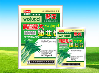 萵苣膨大嫩壯長